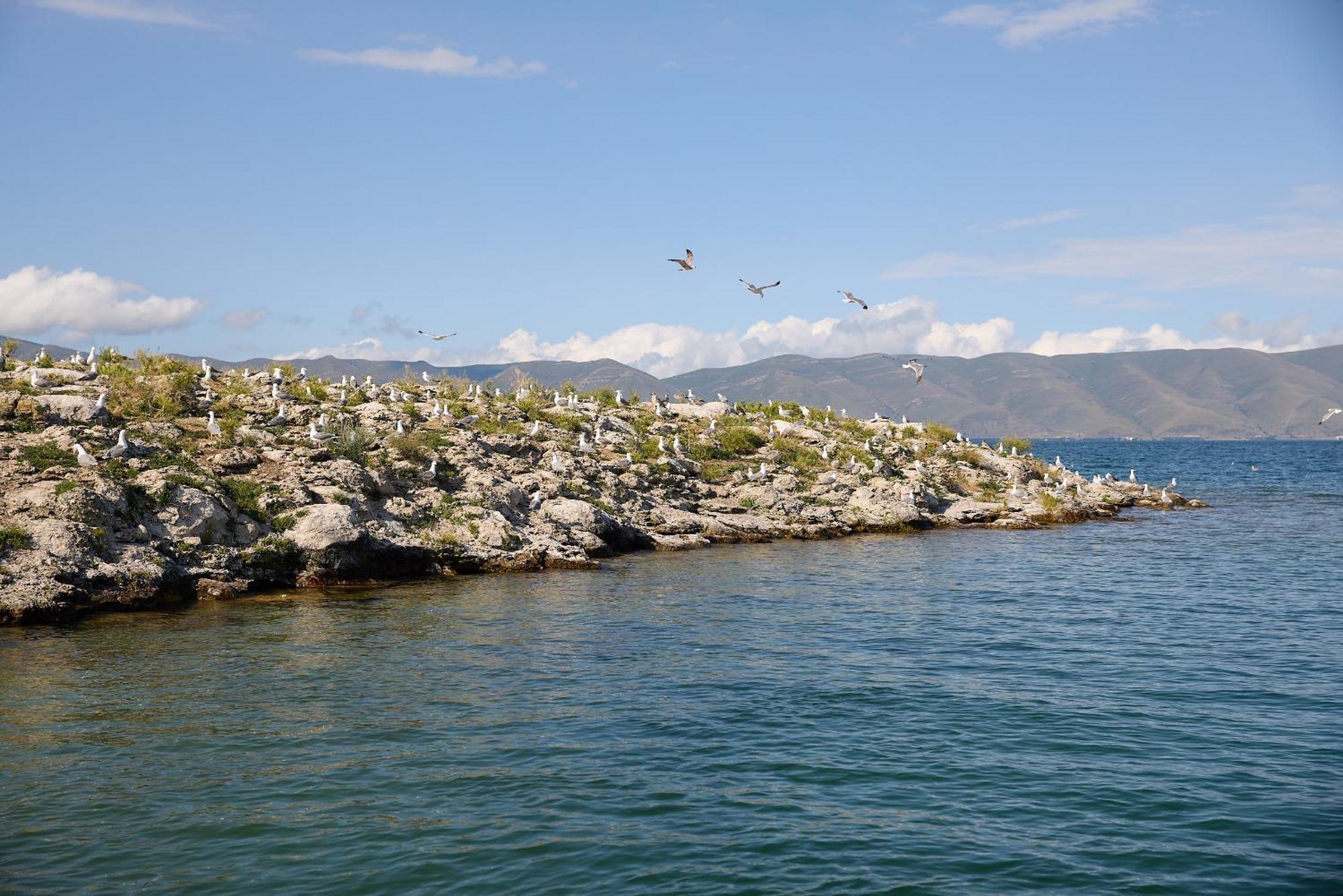 Noy Land Resort Sevan Extérieur photo